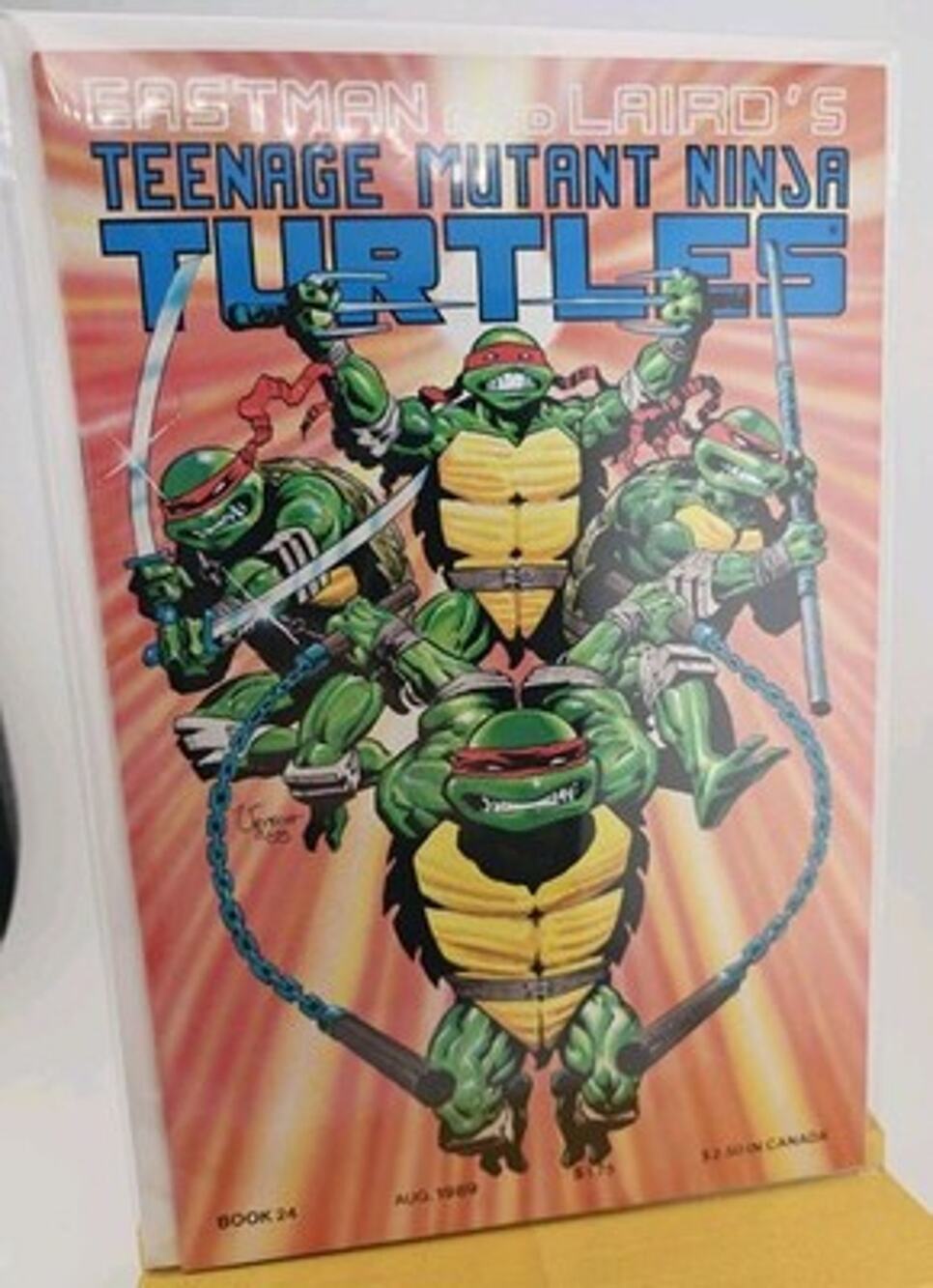Teenage Mutant Ninja Turtles #24 Mirage Studios 1989 Rick Veitch The River Pt 1